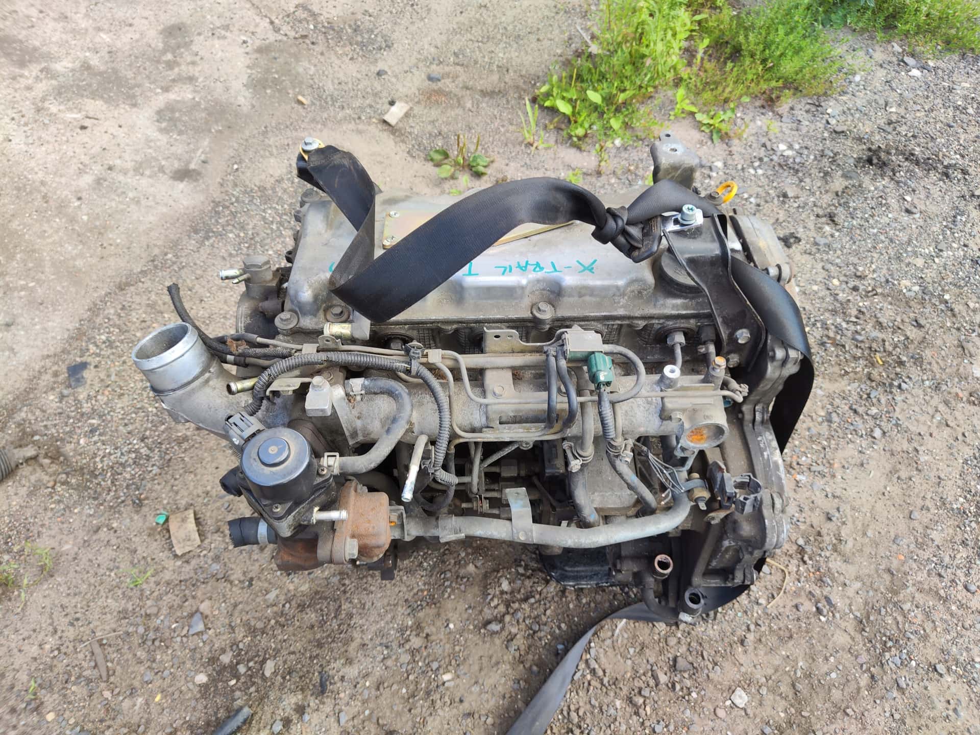 Moteur YD22DDTi vue 4