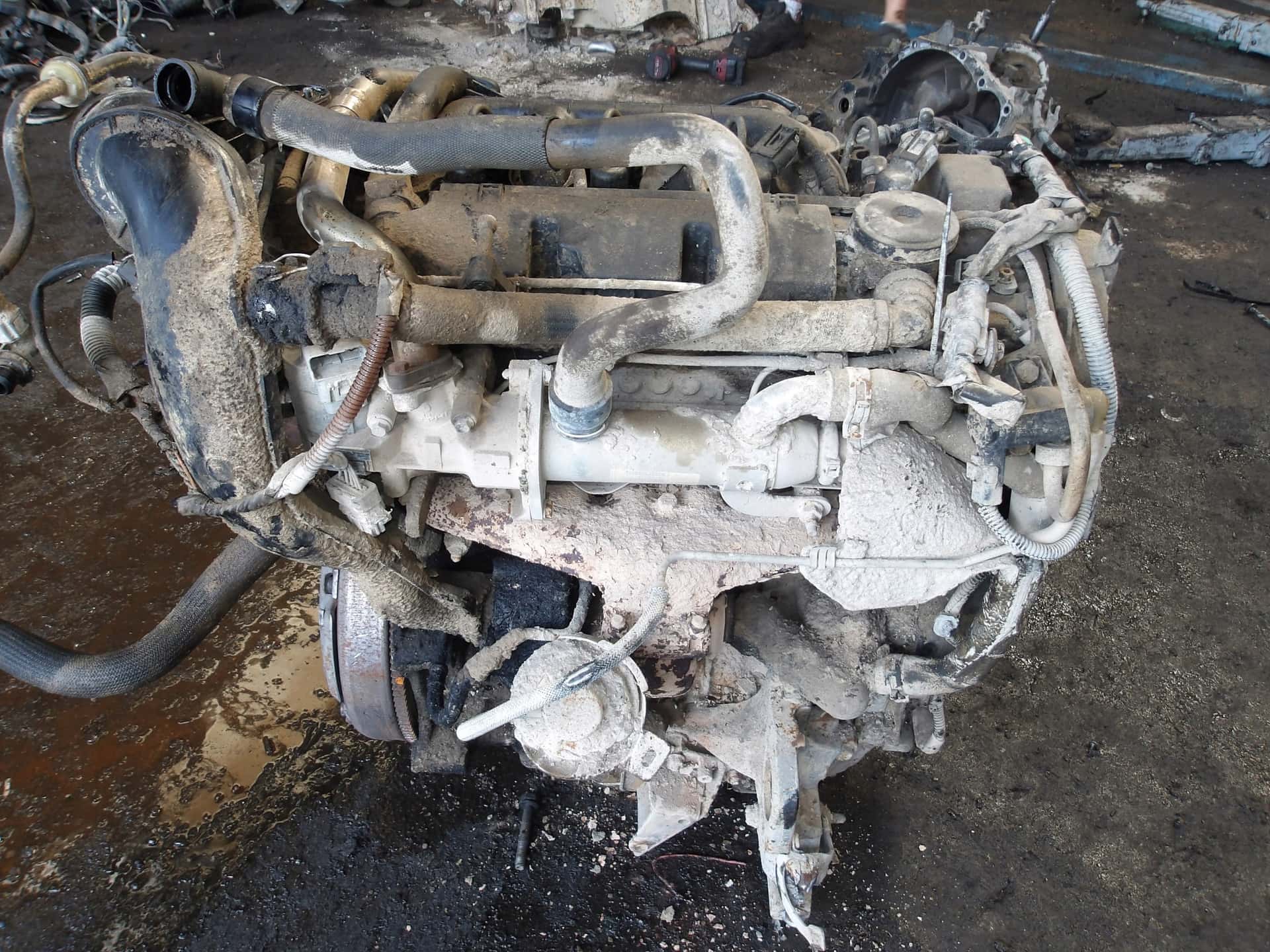 Moteur RHK (DW10UTED4) vue 3