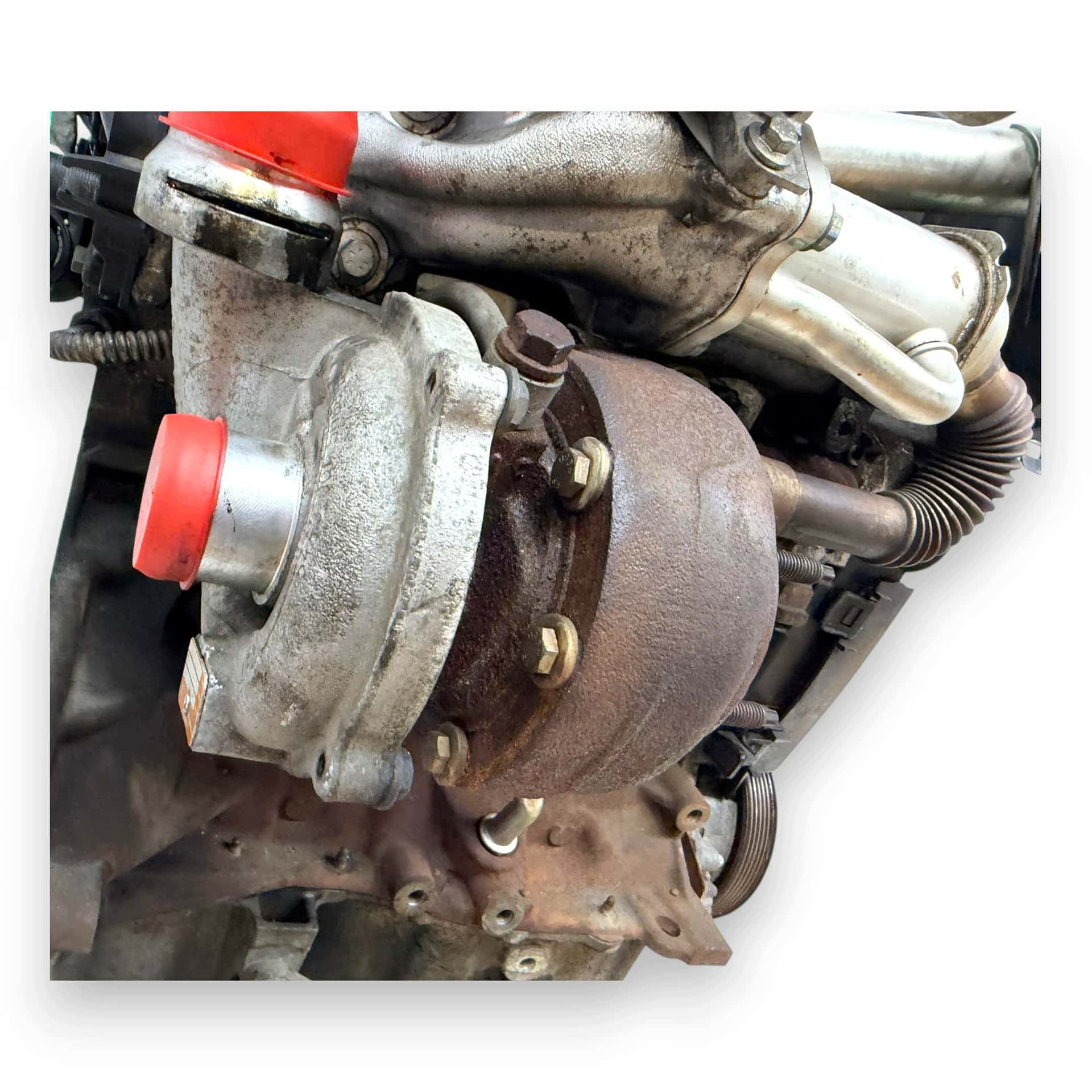 Moteur K9K 282 vue 11