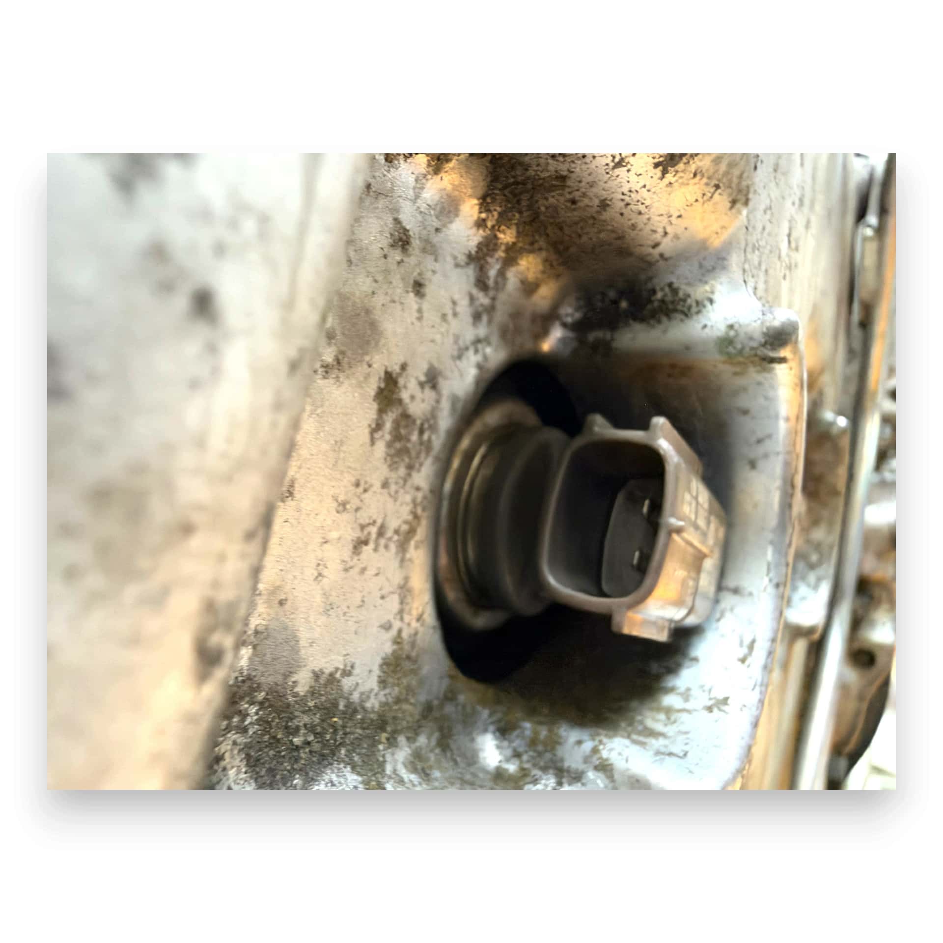 Moteur EE20Z vue 13