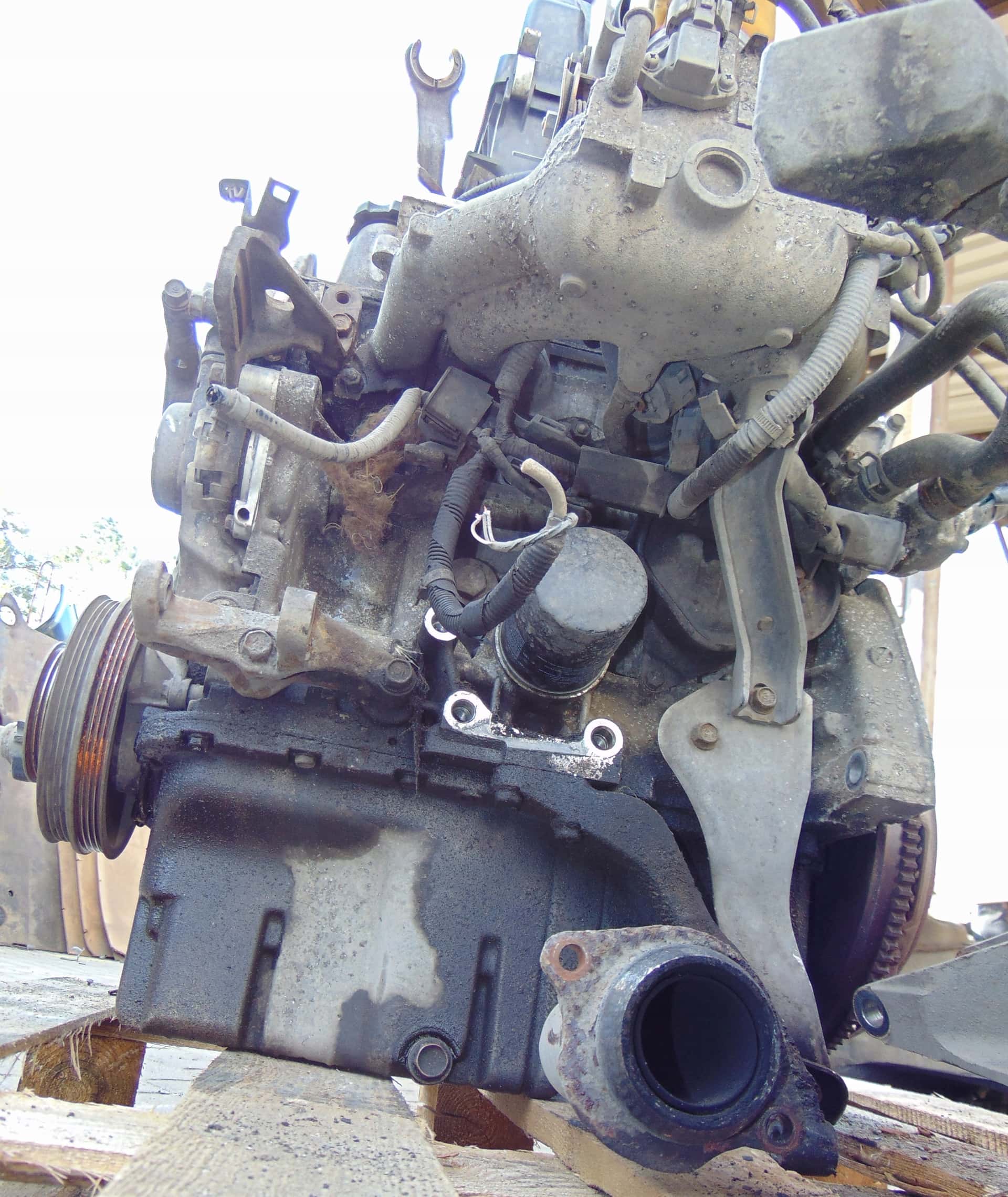 Moteur D16W1 vue 4
