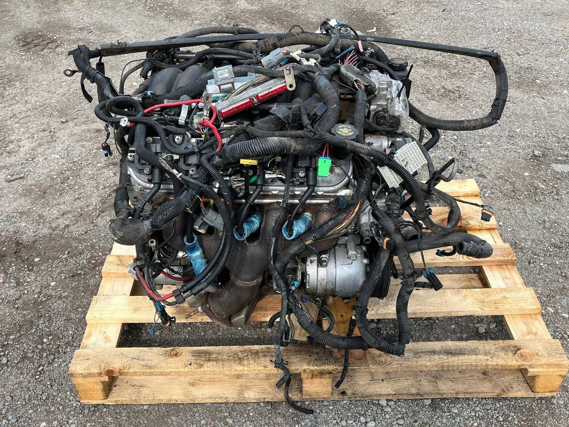 Moteur LS1 vue 5