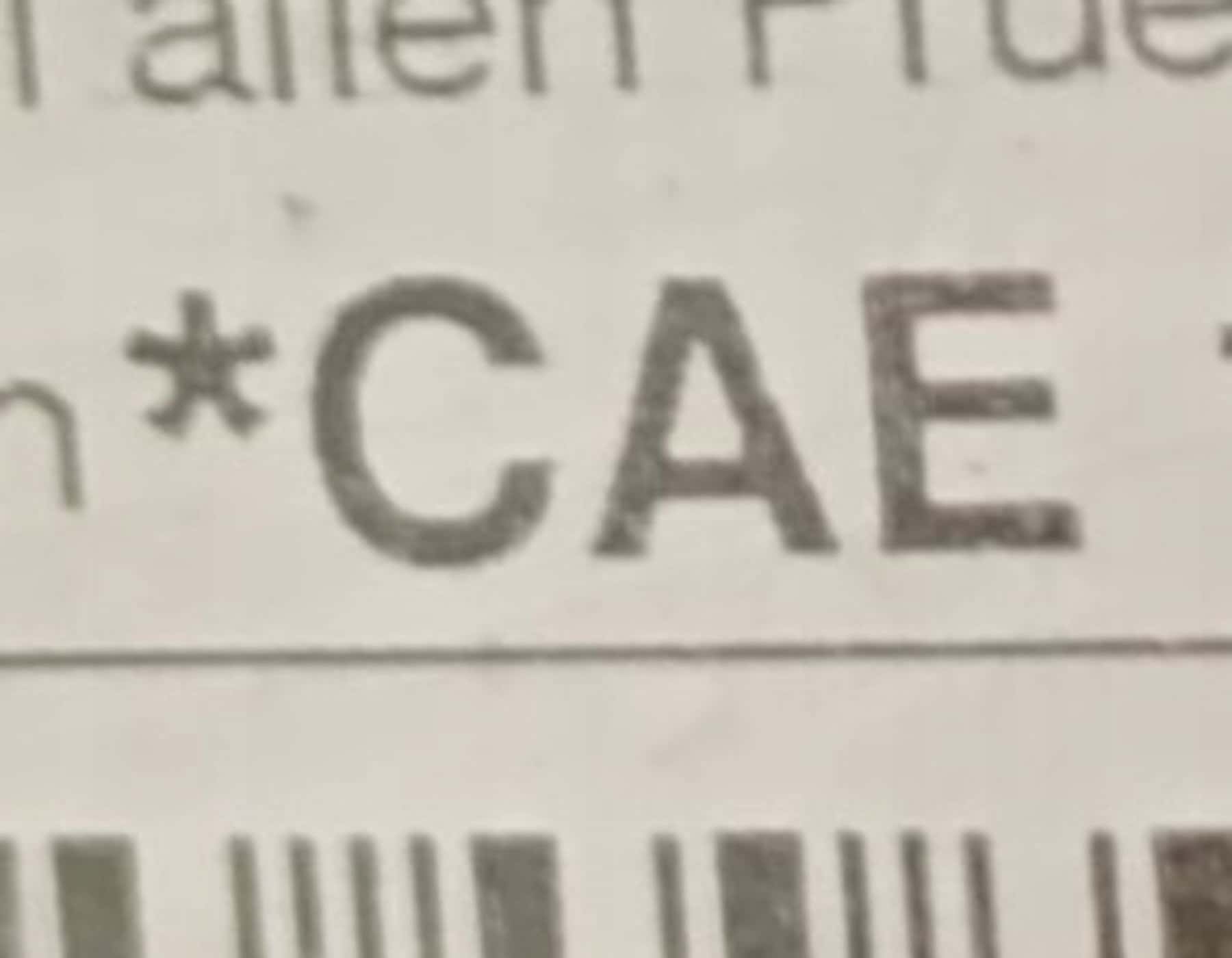 Moteur CAEB vue 3