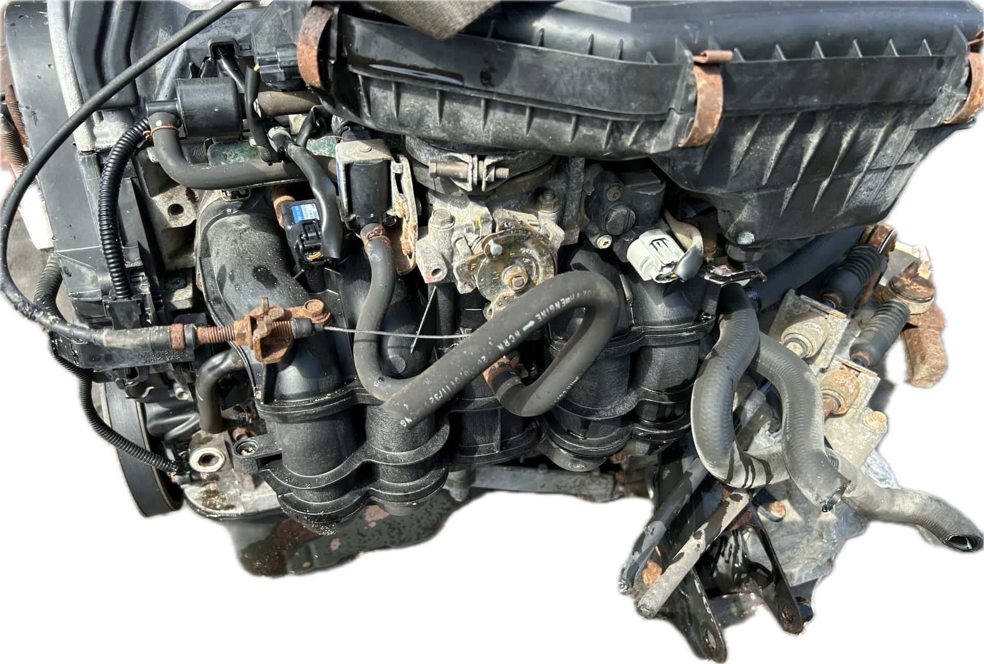 Moteur D14Z6 vue 3
