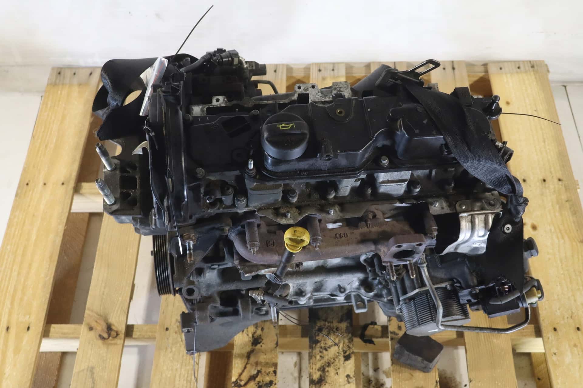 Moteur Y6Y1 vue 6