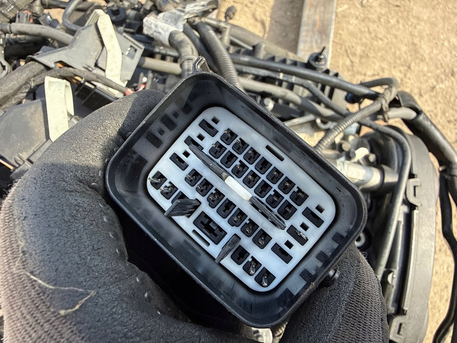 Moteur B 4204 T11 — vue 13