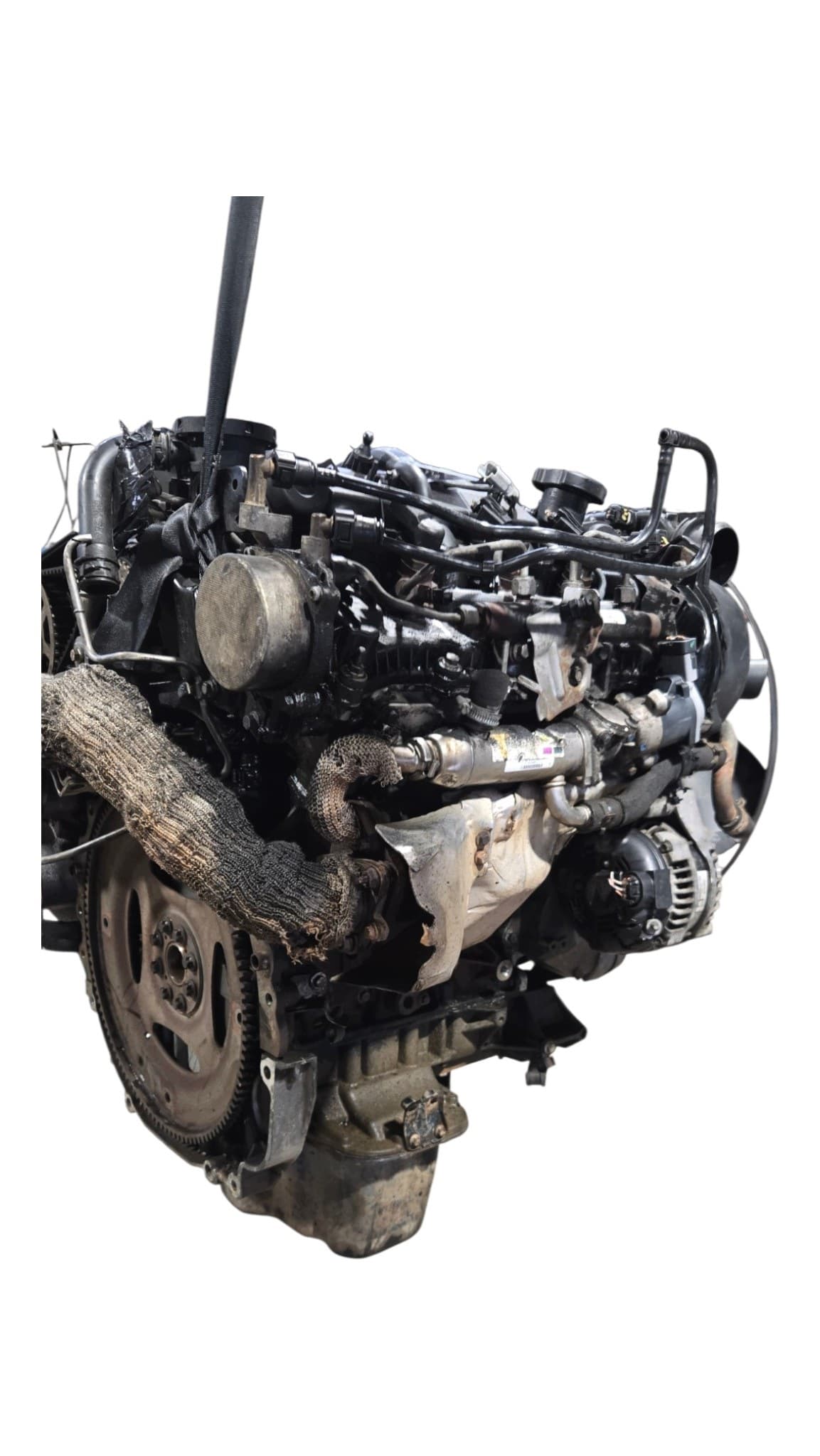 Moteur 276DT(TDV6) — vue 5