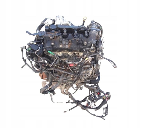 Moteur HHJD pour Ford Fiesta