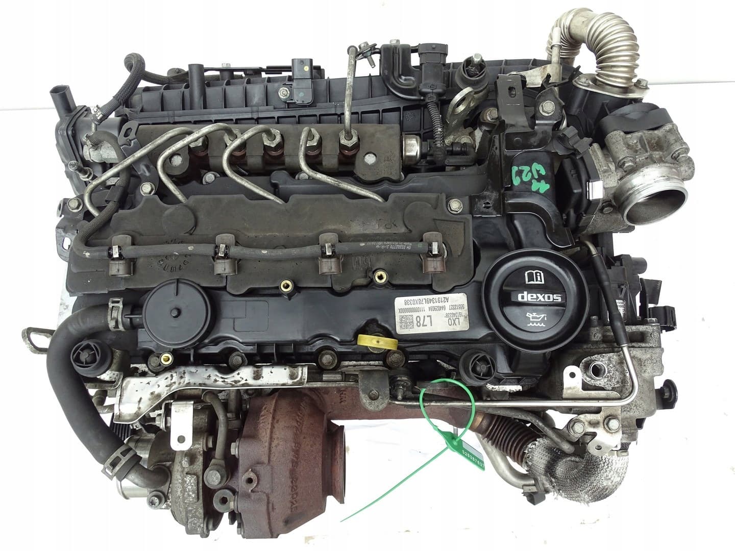 Moteur D 16 DTN — vue 10