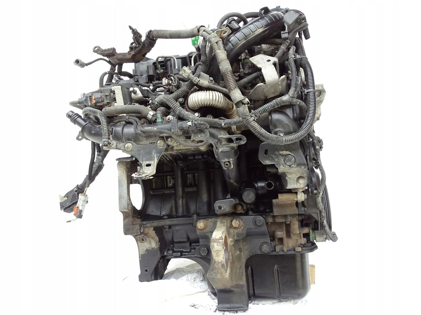 Moteur D 15 DTH (DV5RC) — vue 6