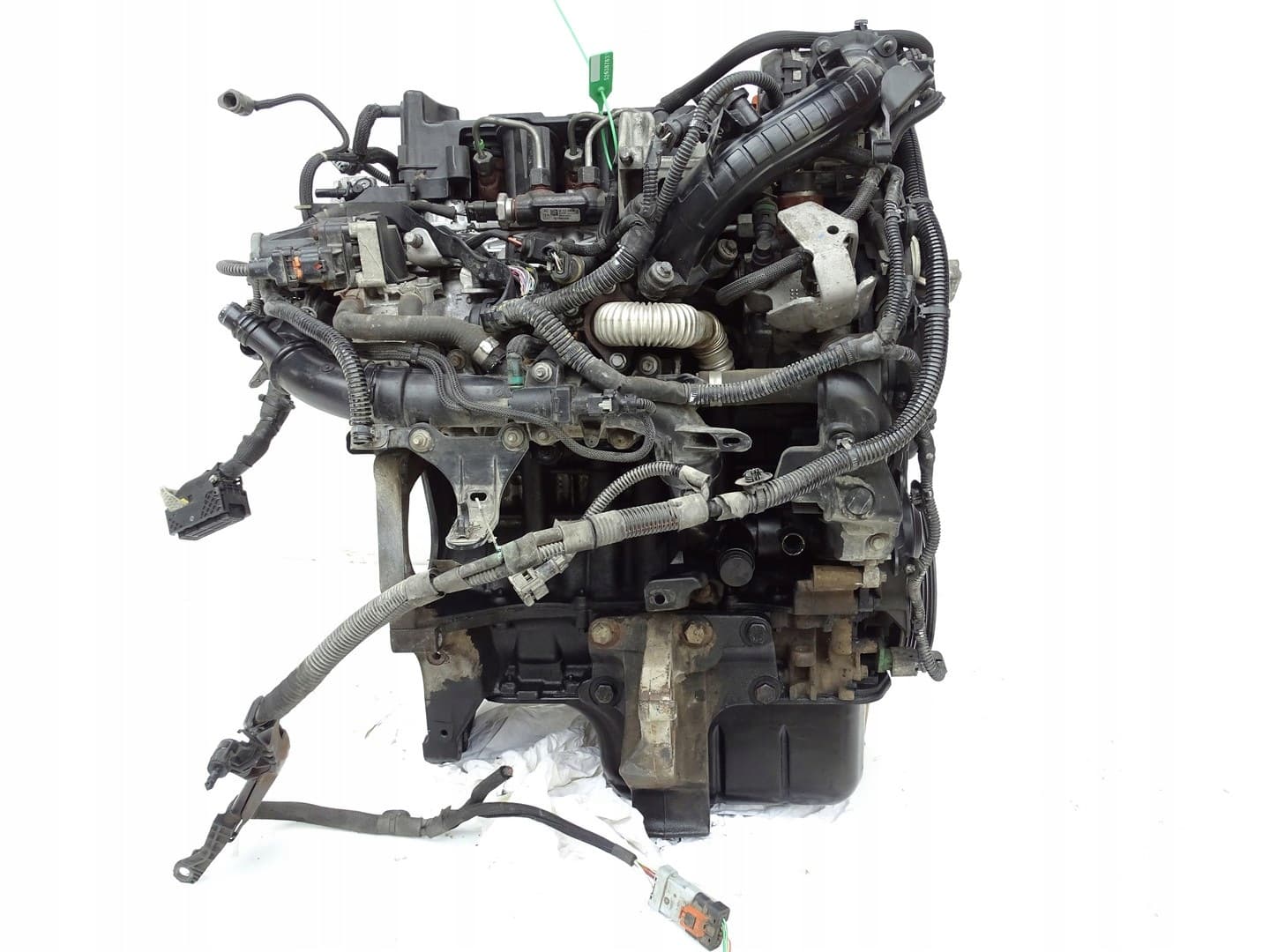 Moteur D 15 DTH (DV5RC) — vue 7