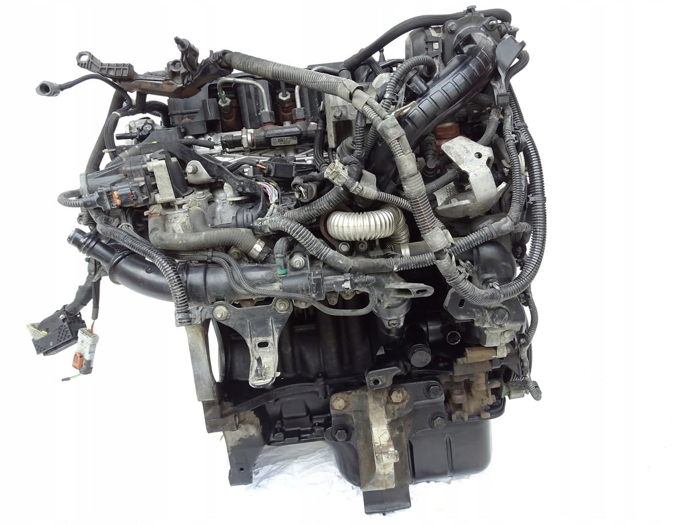 Moteur D 15 DTH (DV5RC) — vue 4