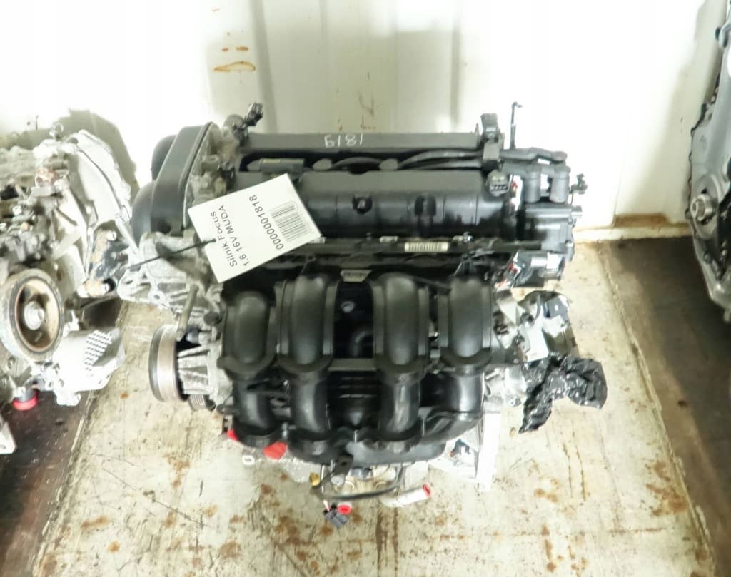 Moteur MUDA pour Ford Focus 1.6 Petrol