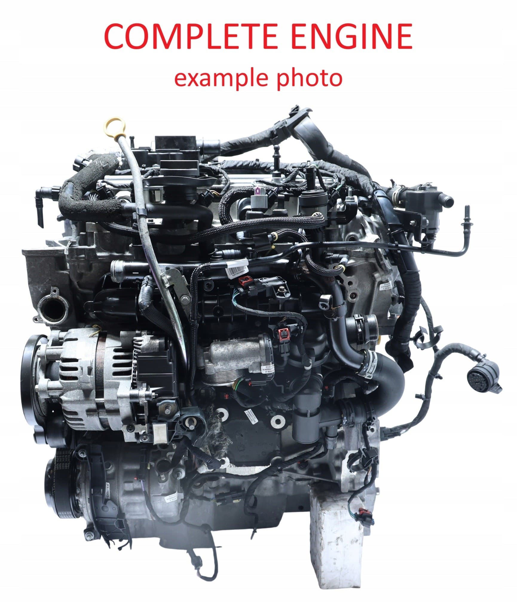 Moteur PT204(AJ20P4) pour Jaguar