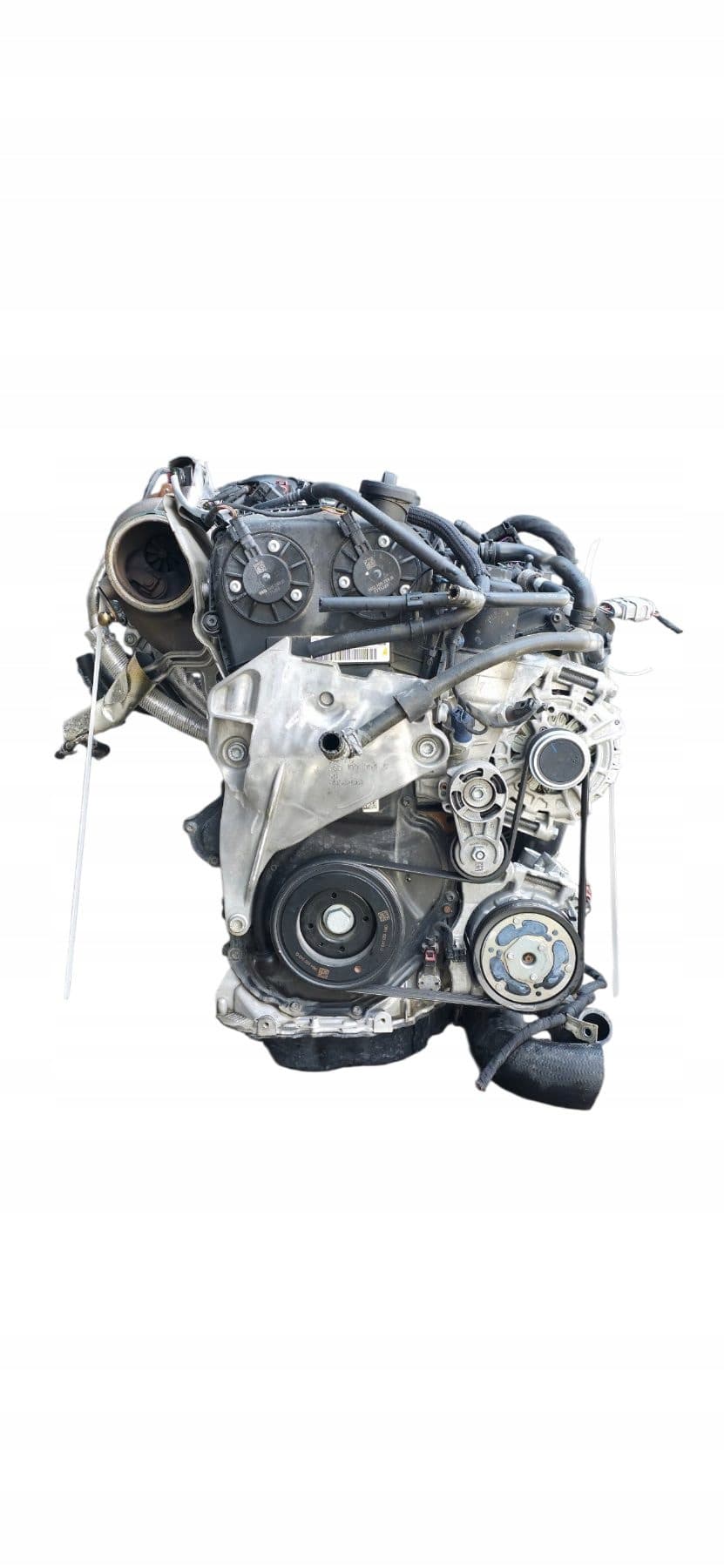 Moteur DNFG pour Cupra