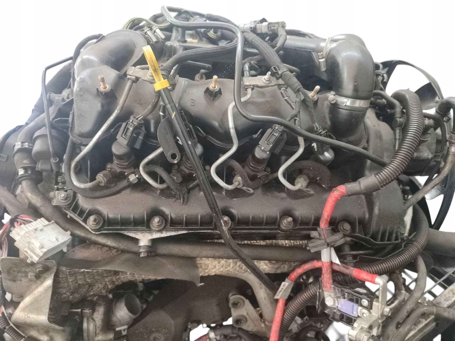 Moteur 368DT(LION) — vue 2